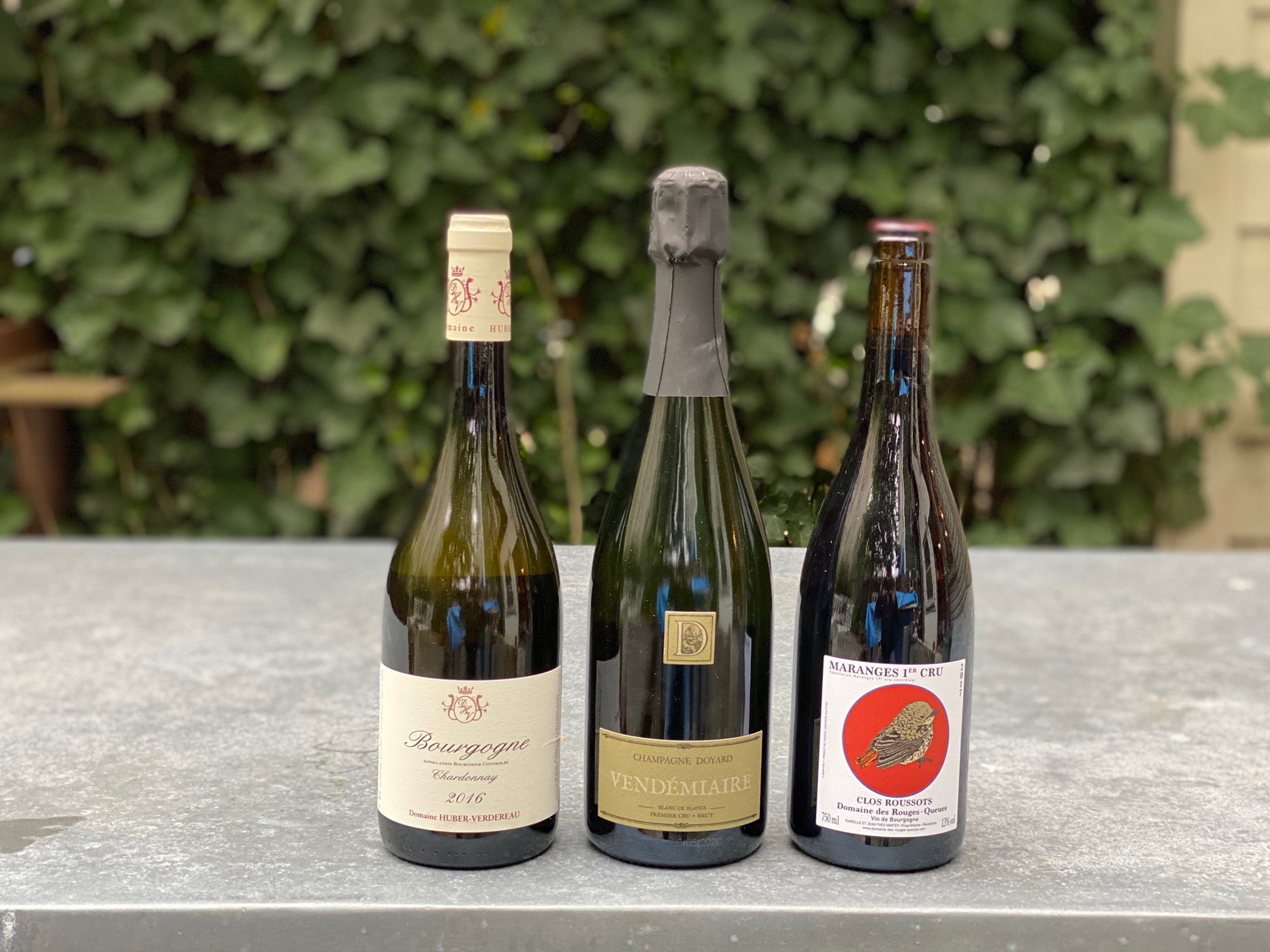 Domaine Huber-Verdereau, Mersault, Chardonnay, Champagne Doyard, Champagne, Grower Champagne, Organic Champagne, Burgundy, Pinot Noir, Domaine des Rouges-Queue, Natural Wine, Wine Delivery, Williamsburg Brooklyn, Wine Store