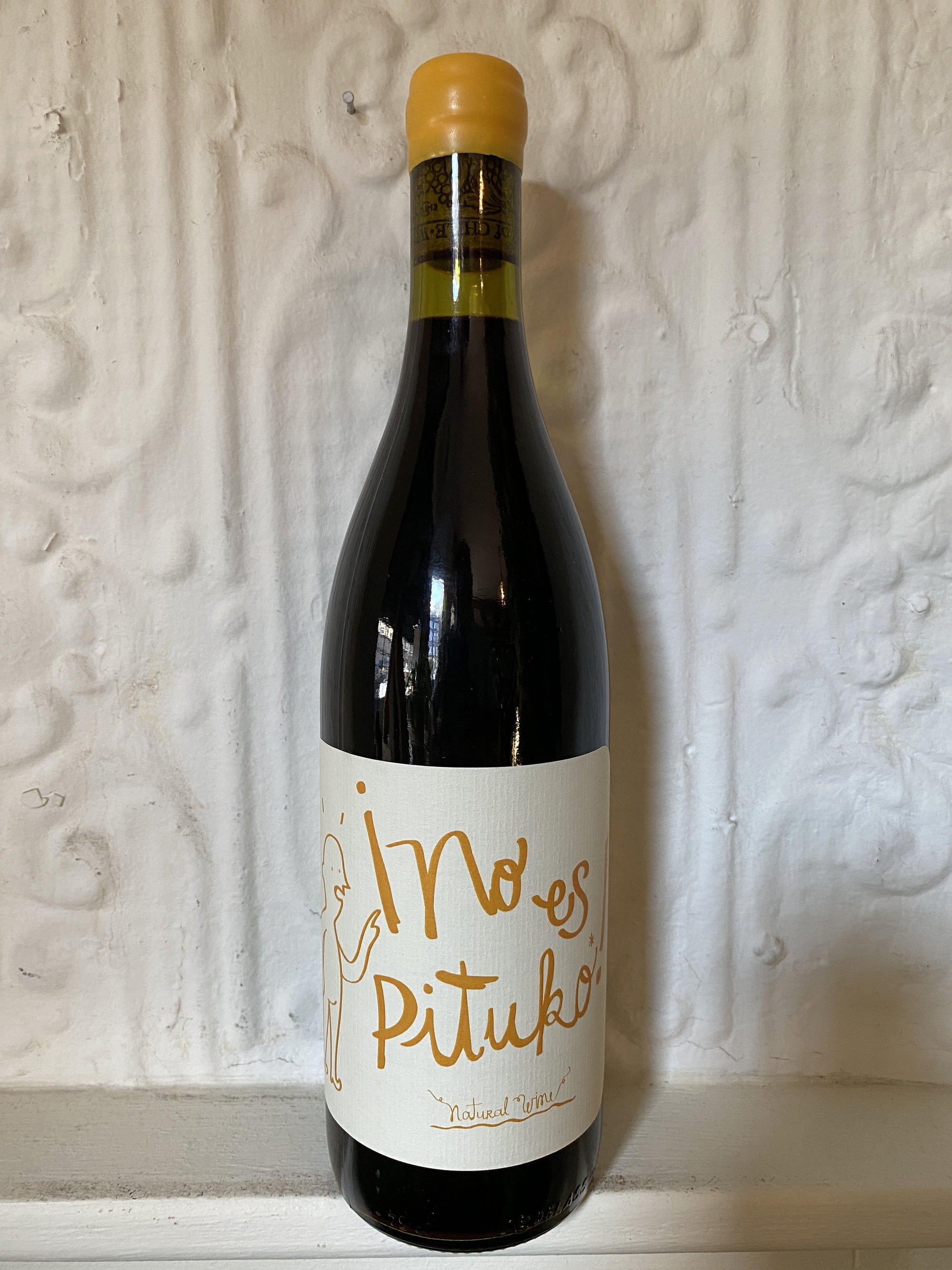 Cabernet Franc "No Es Pituko", Vina Echeverria 2010 (Chile)-Wine-Bibber & Bell