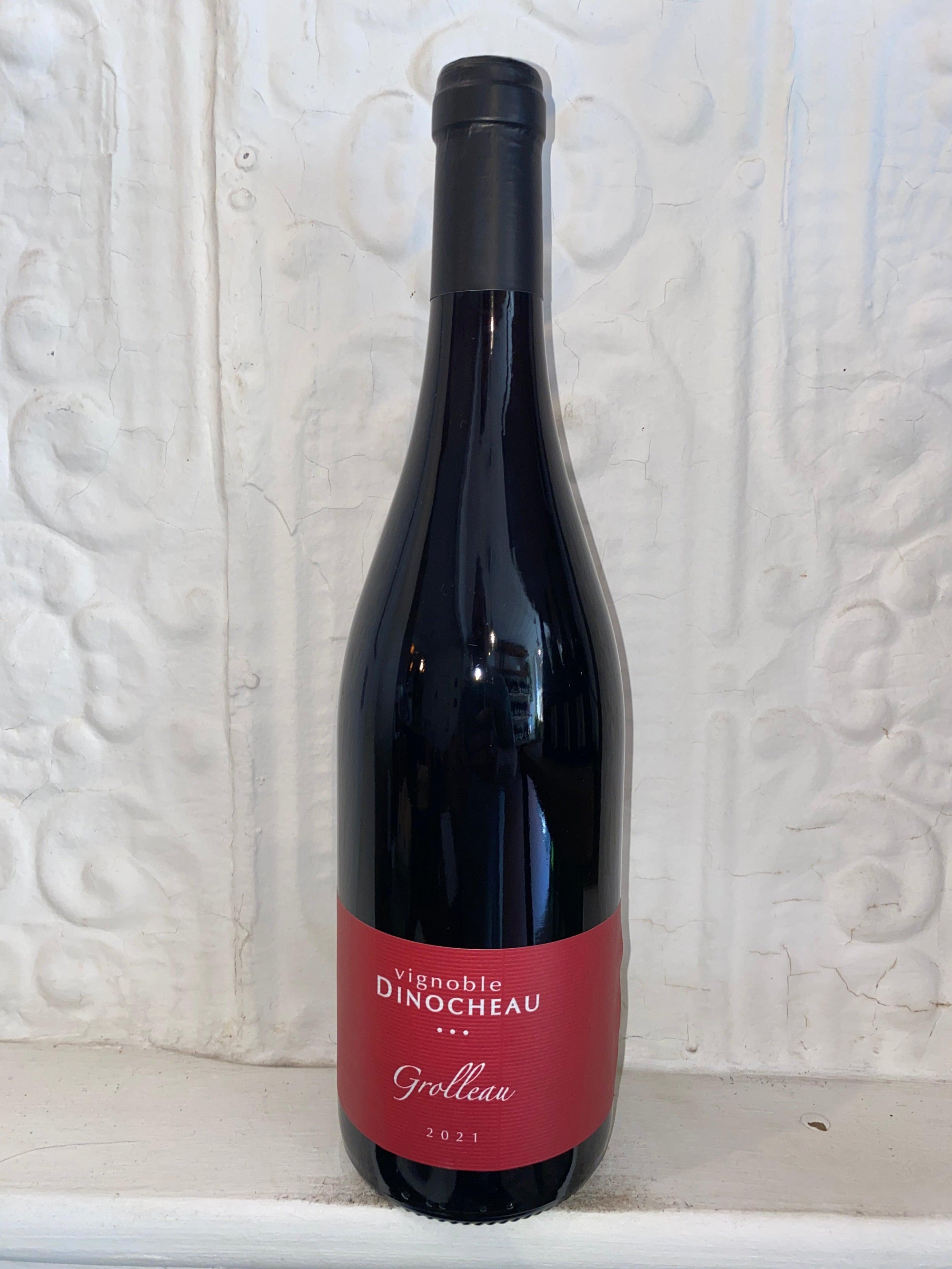 Grolleau, Dinocheau 2021 (Loire Valley, France)-Wine-Bibber &amp; Bell