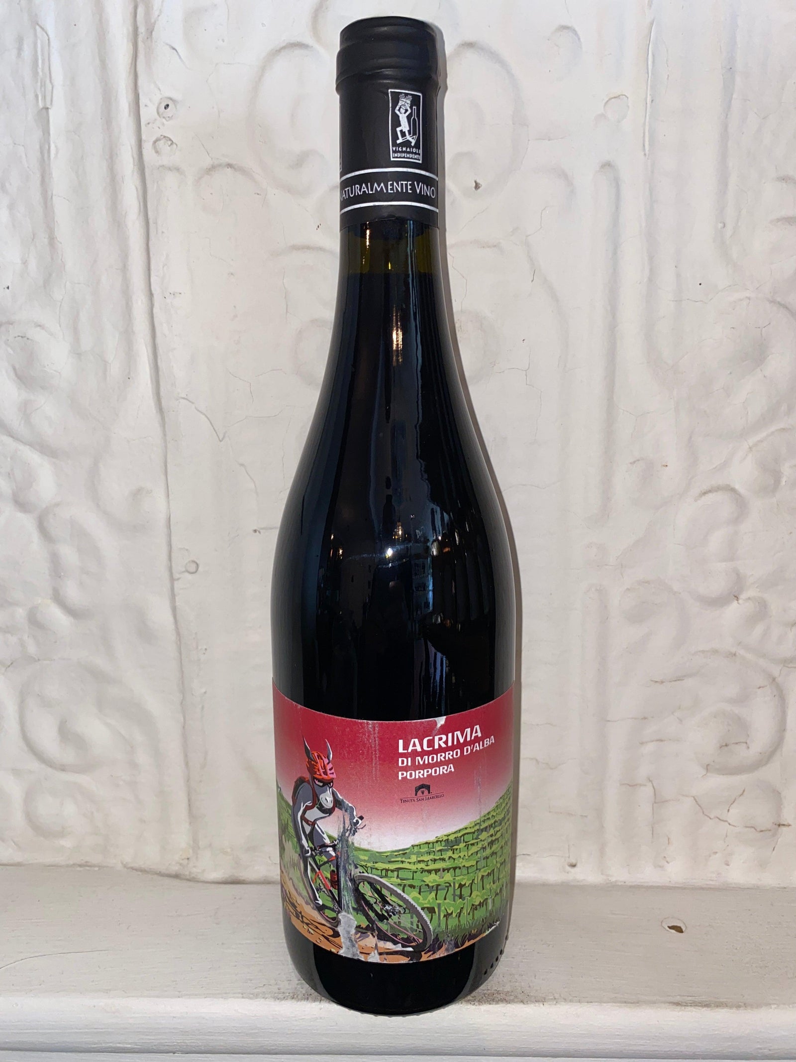 Lacrima di Morro D'Alba, San Marcello 2020 (Marche, Italy)-Wine-Bibber & Bell