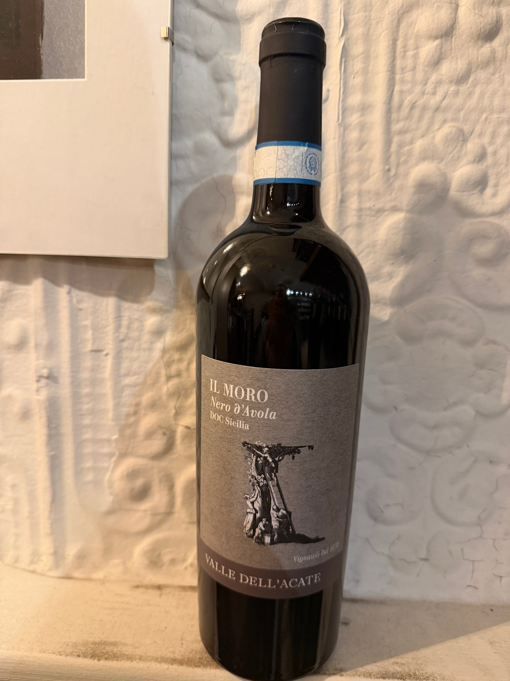 Nero D'Avola, Il Moro,2022 (Sicily, Italy)-Wine-Bibber & Bell