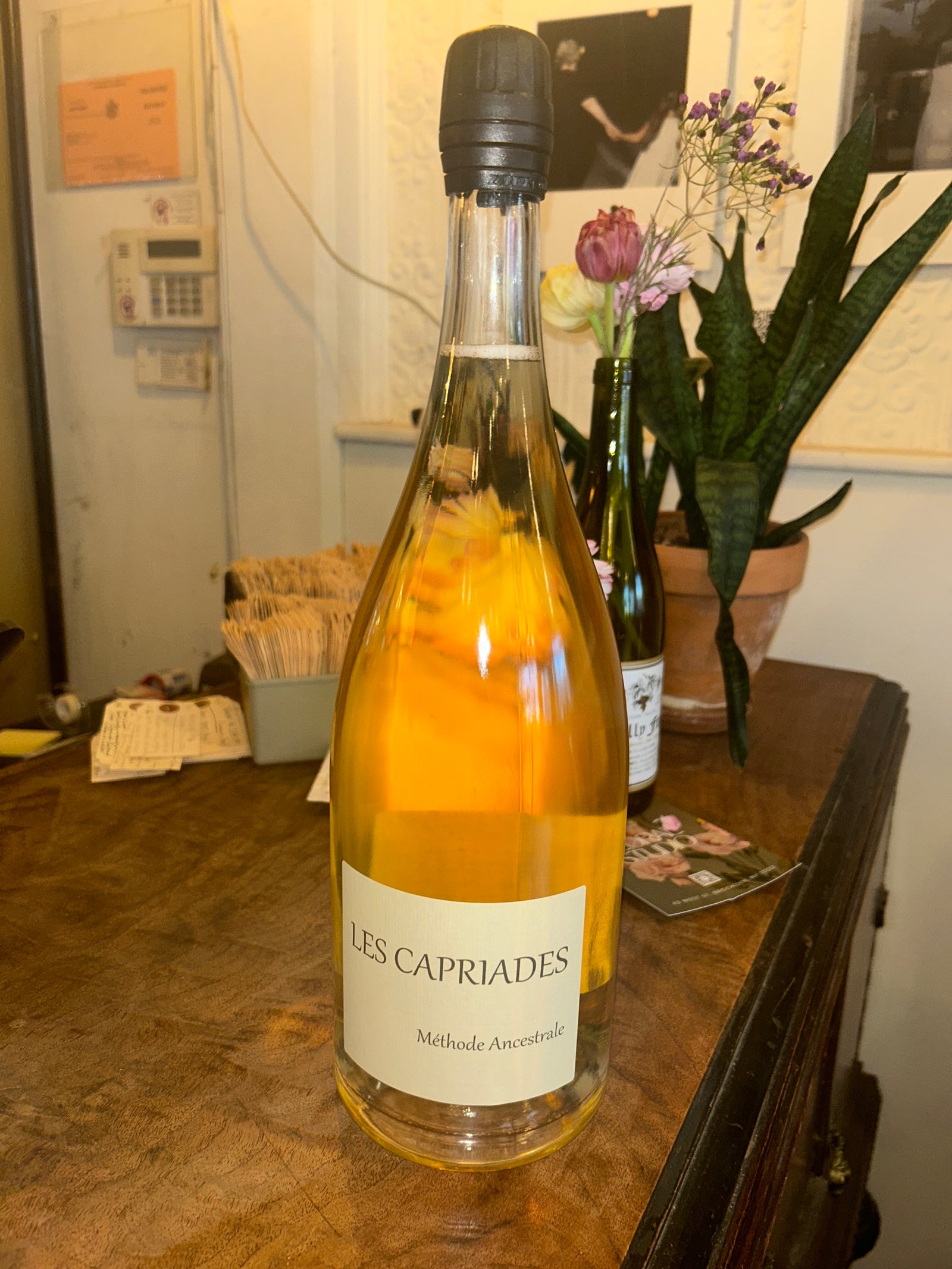 Pet Nat, Capriades 2020 Mag (Loire Valley, France)-Wine-Bibber & Bell