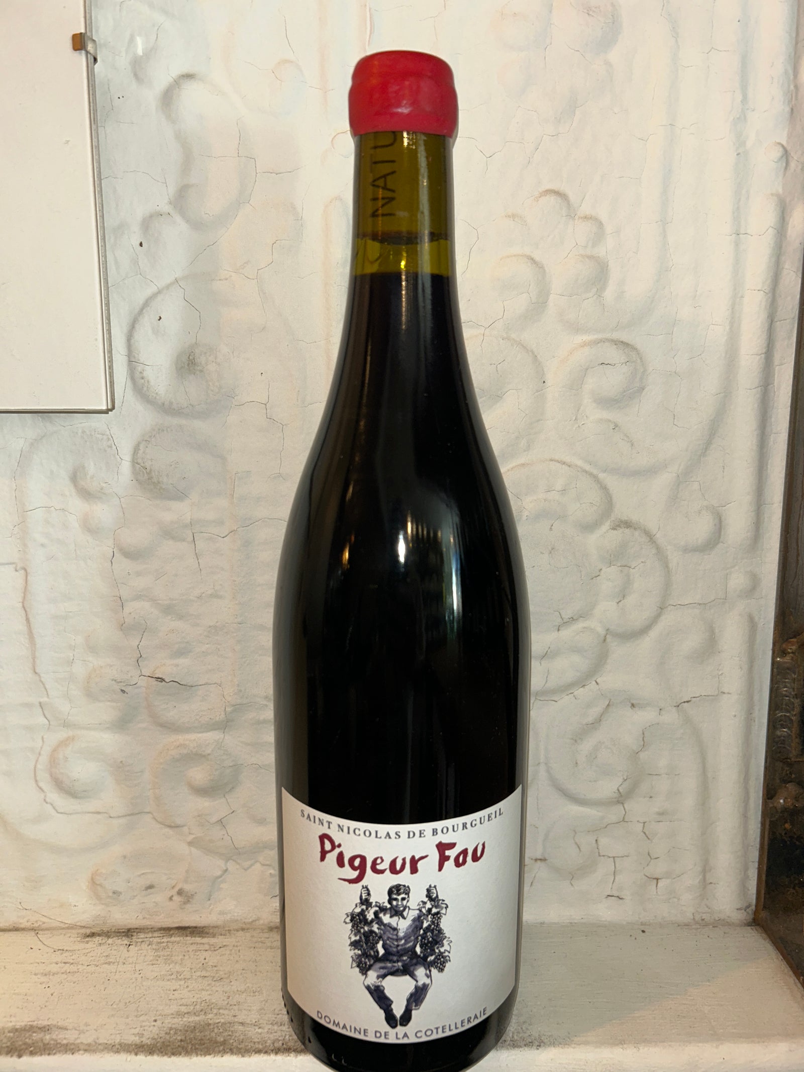 Pigeur Fou Bourgueil, Domaine de la Cotelleraie (Loire Valley, France)-Wine-Bibber & Bell