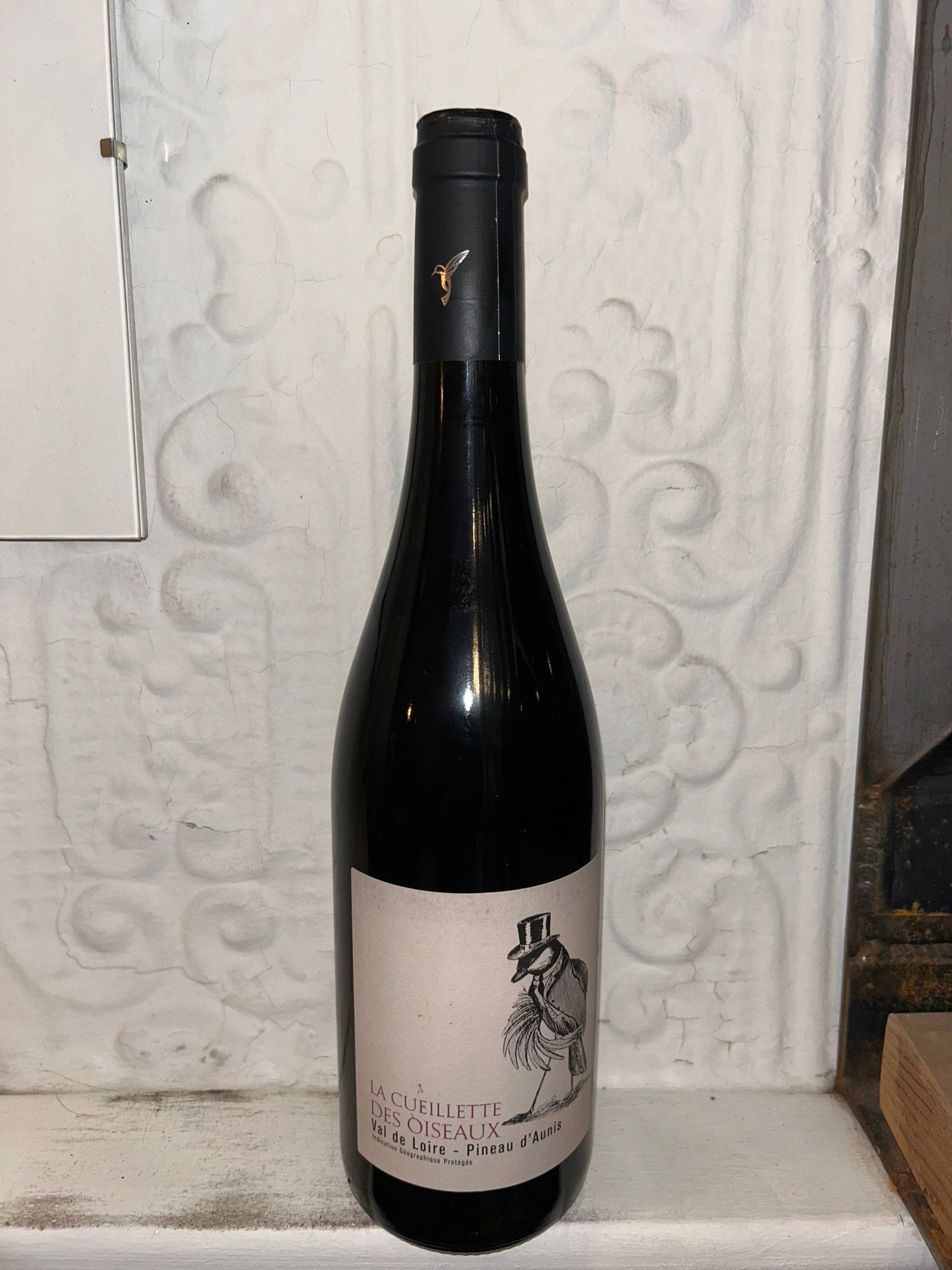 Pinot D"anuis a Cueillette des Oiseaux, Le Fief Noir 2022 (Loire Valley, France)-Wine-Bibber & Bell