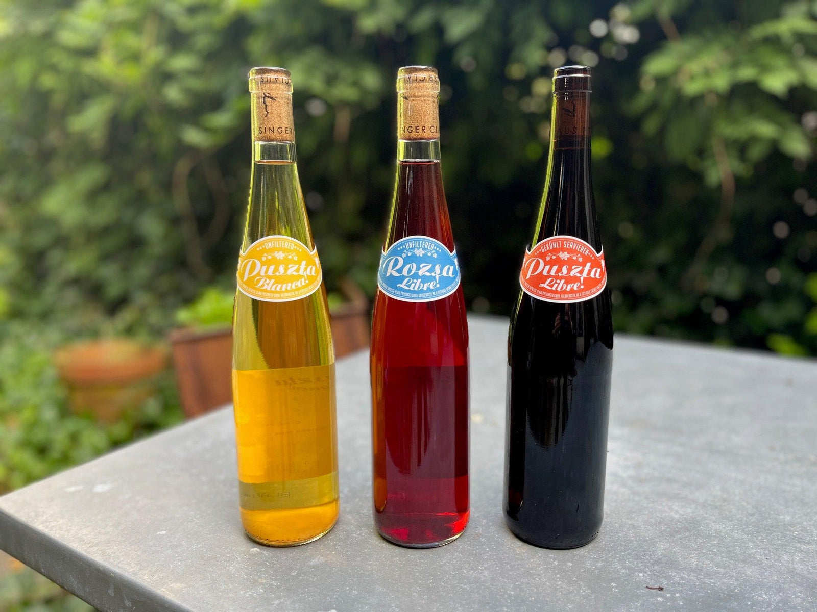 Preisinger Puszta 3 Pack (Burgenland, Austria)-Wine-Bibber & Bell