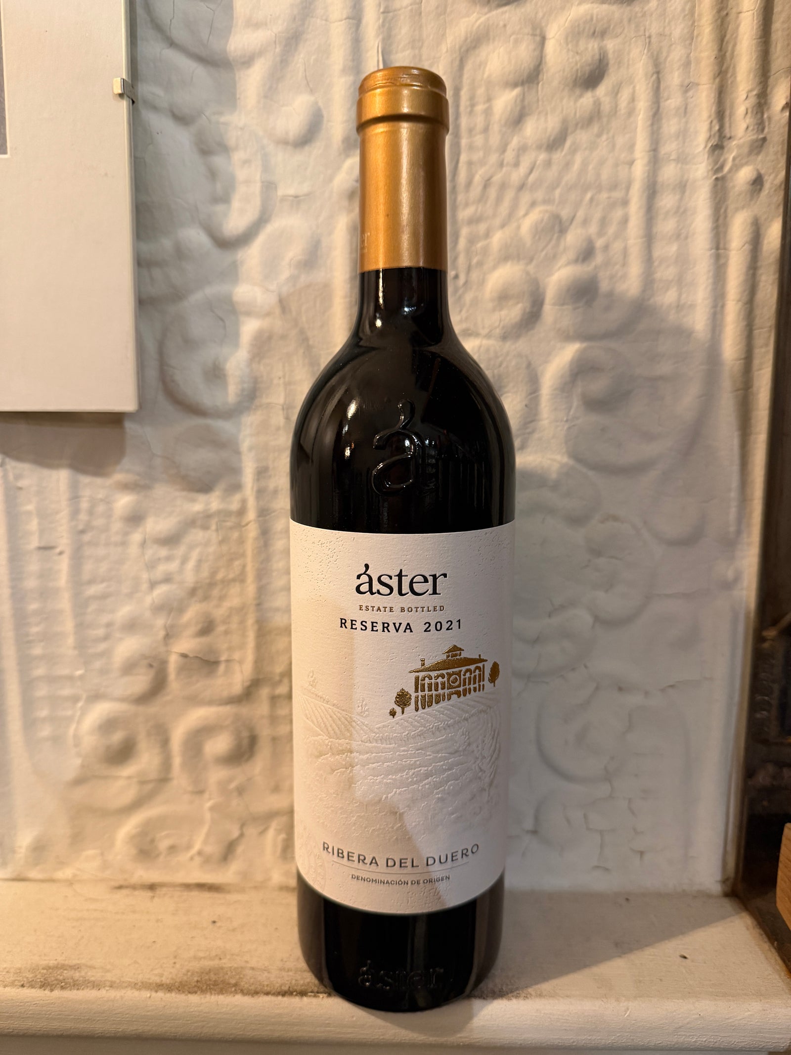 Reserva, Aster 2021 (Ribera del Duero, Spain)-Wine-Bibber & Bell