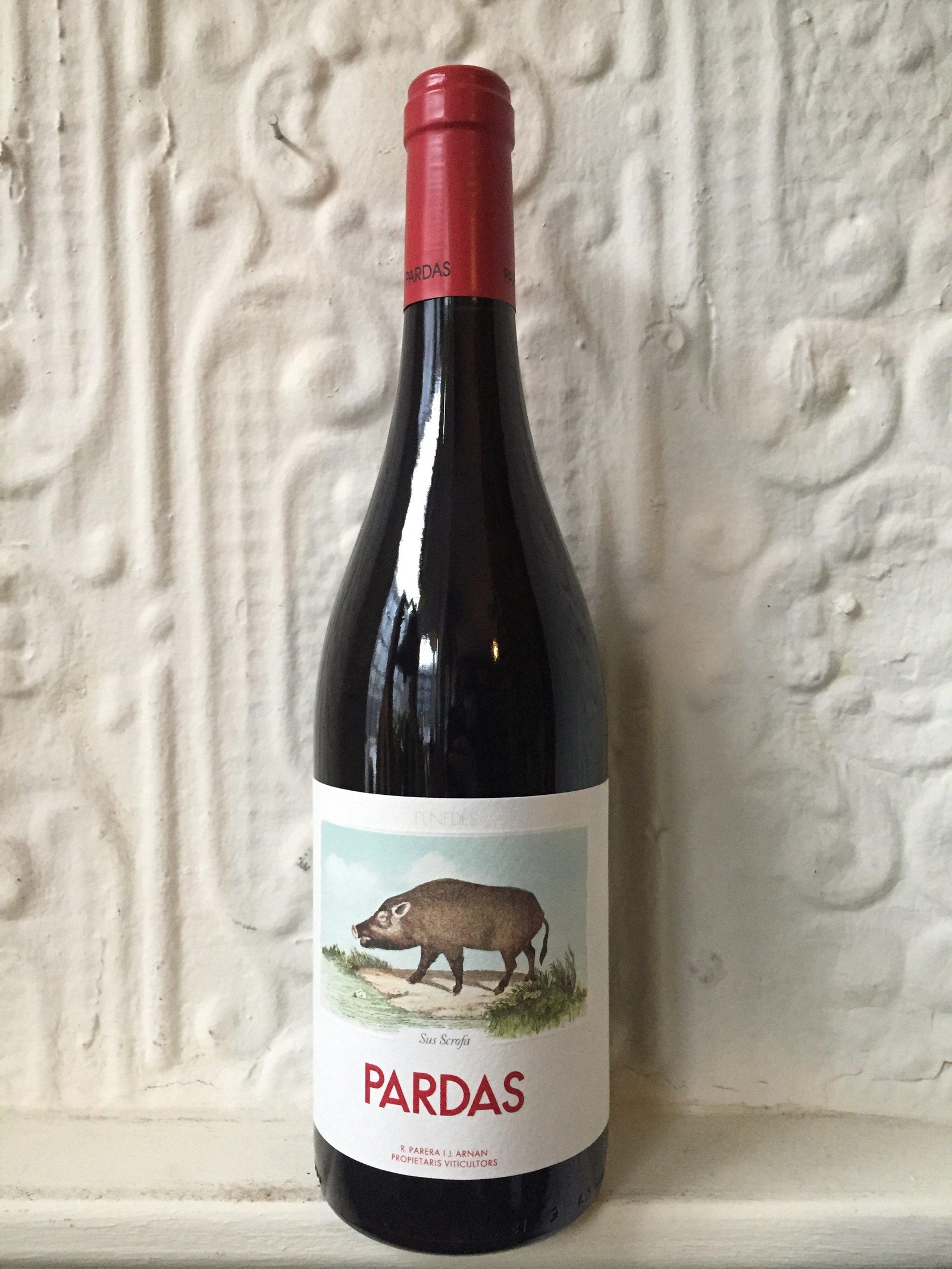 Sumoll "Sus Scrofa", Celler Pardas 2019 (Catalonia, Spain)-Wine-Bibber & Bell