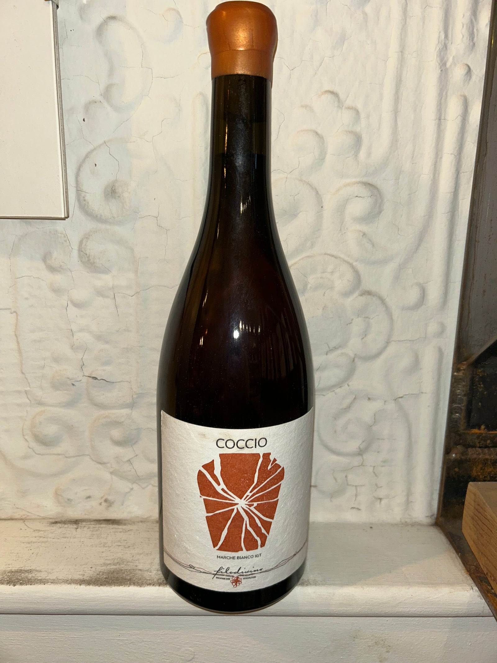 Verdicchio "Coccio" , Filodivino 2020 ( Marche, Italy)-Wine-Bibber & Bell