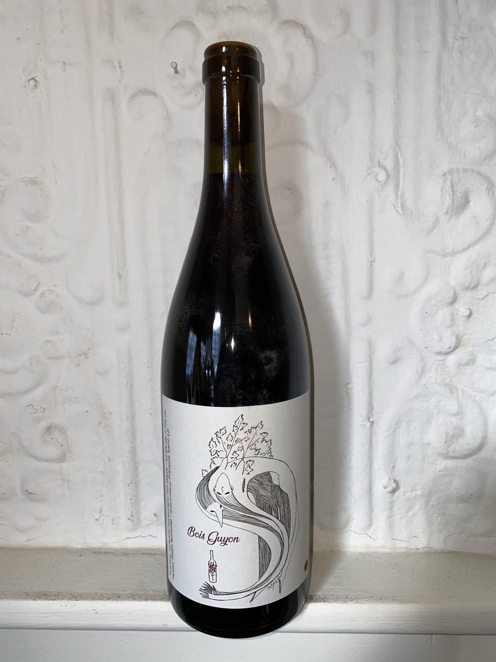 Bois Guyon. Francois Saint-Lo 2016 (Loire Valley, France)-Wine-Bibber & Bell