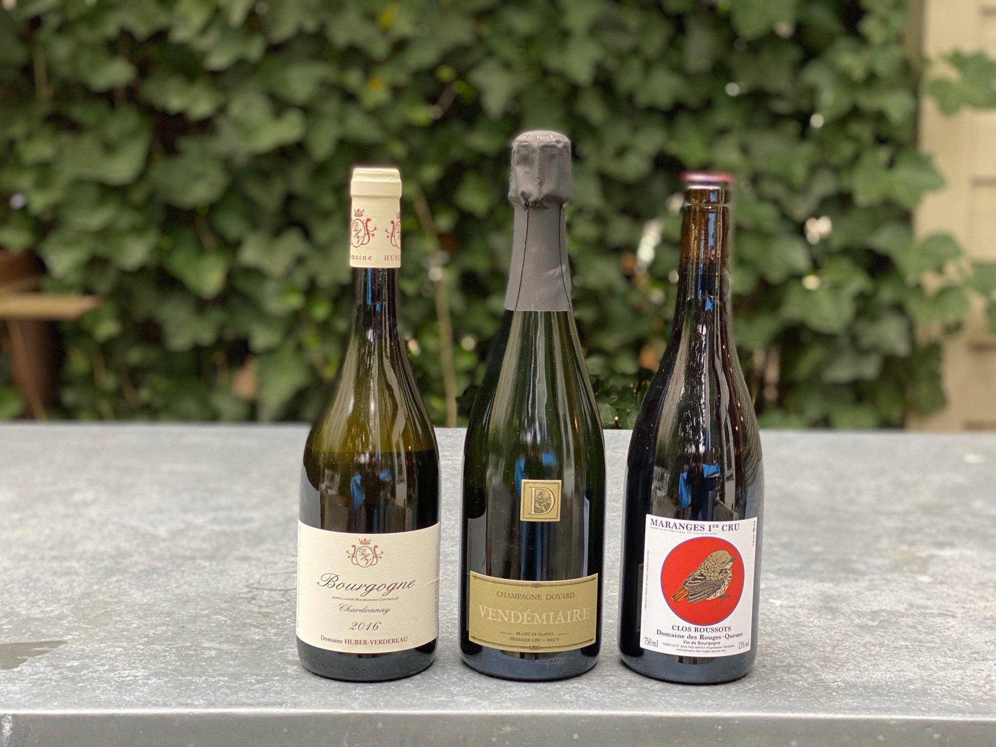 Champagne and Burgundy Trio-Wine-Bibber & Bell