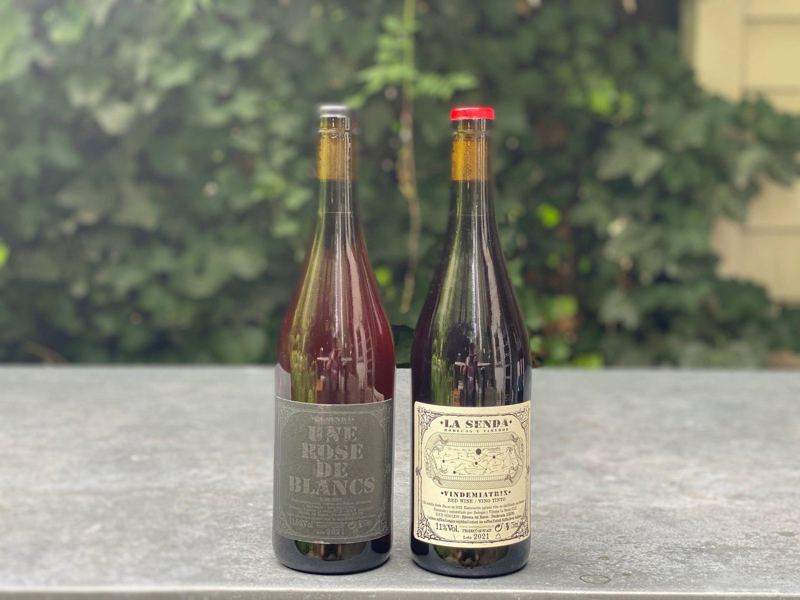Diego Losada 2 Pack (Bierzo, Spain)-Bibber & Bell
