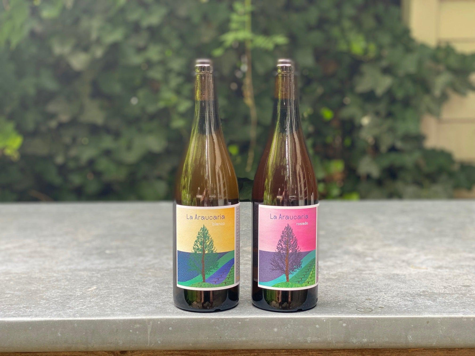 Dolores Cabrera Fernandez 2 Pack (Canary Islands, Spain)-Bibber & Bell