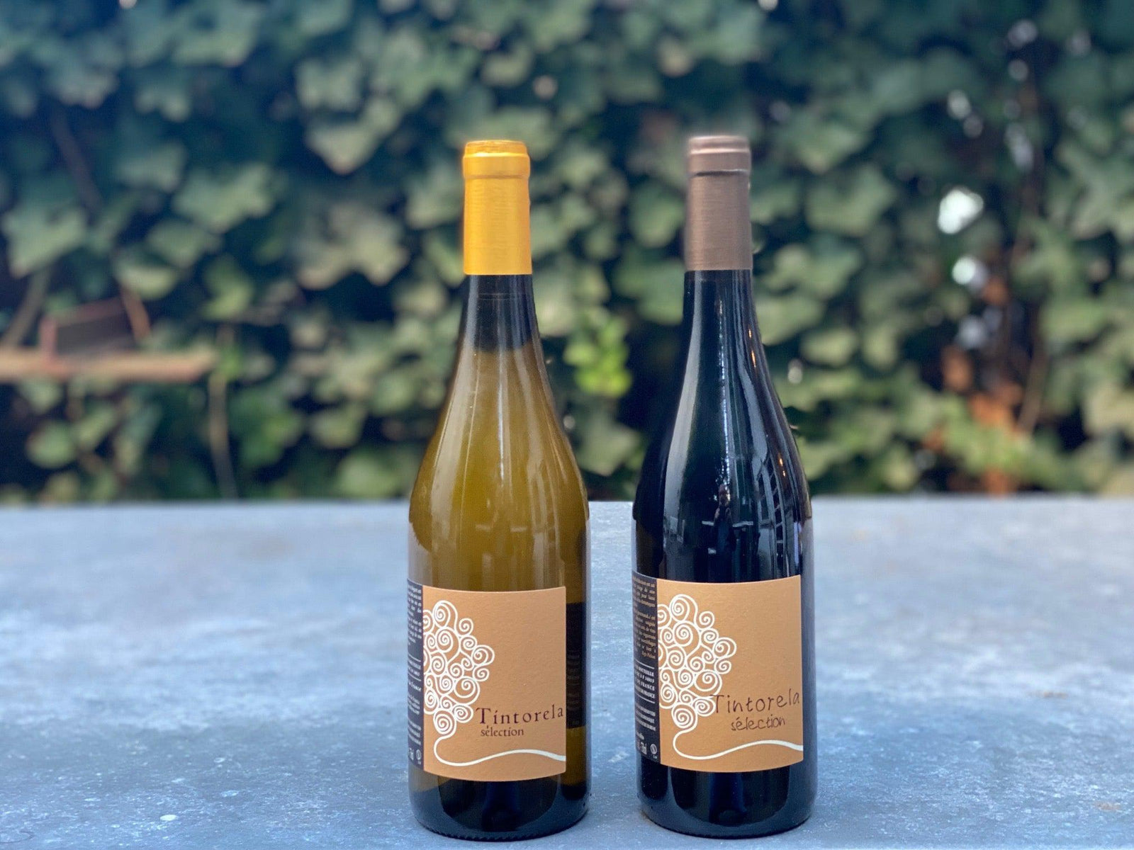 Domaine Ribiera Tintorela 2 Pack (Languedoc, France)-Bibber & Bell