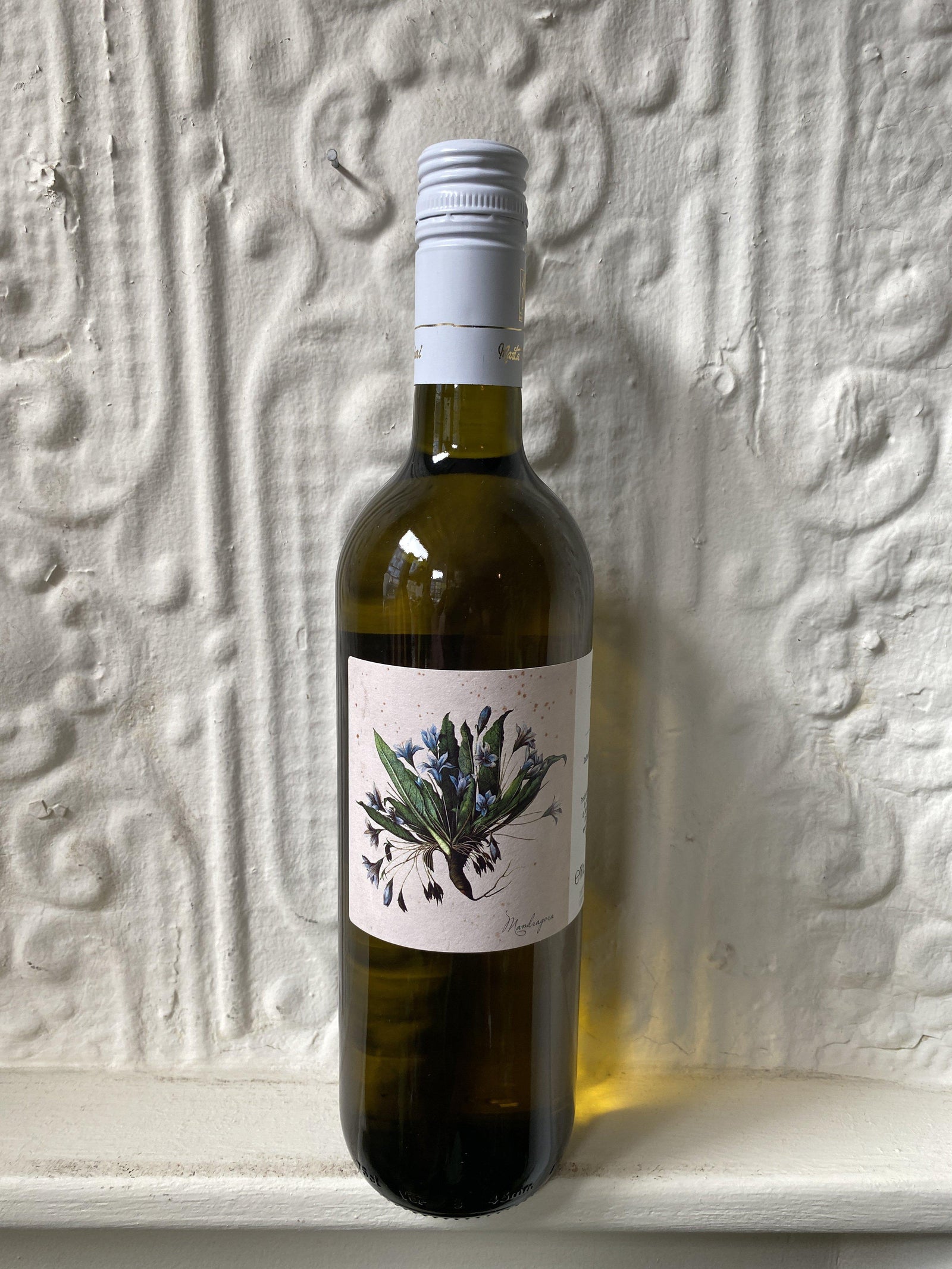 Forli Bianco, Marta Valpiani 2018 (Emolia Romagna)-Wine-Bibber & Bell