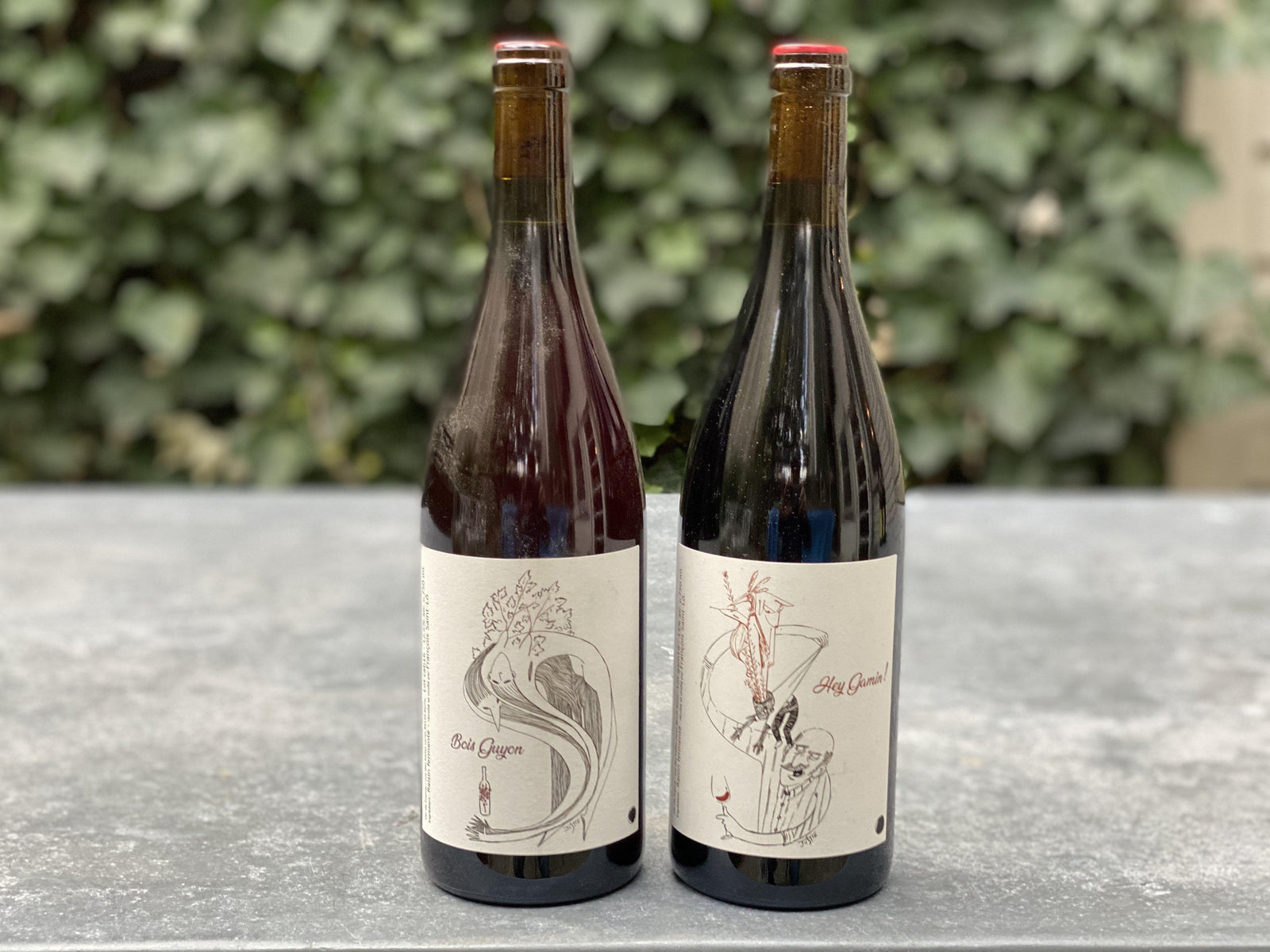 Francois Saint-Lo 2 Pack-Wine-Bibber & Bell