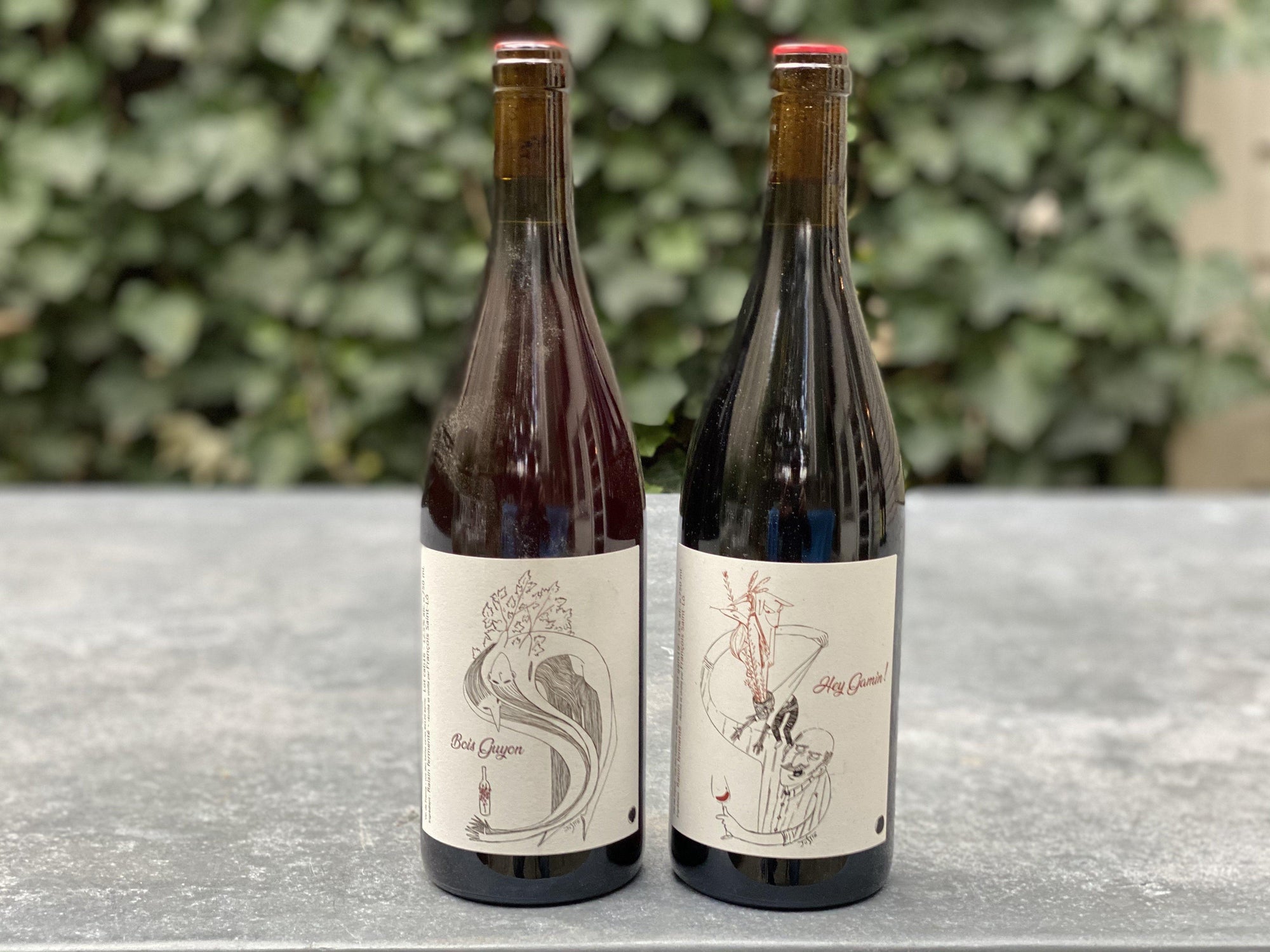 Francois Saint-Lo 2 Pack-Wine-Bibber & Bell