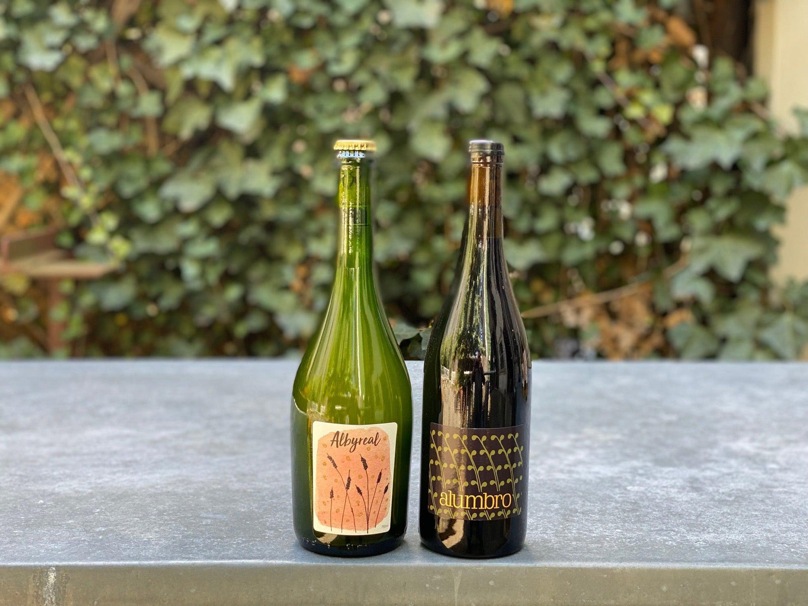 La Microbodega del Alumbro 2 Pack (Zamora, Spain)-Bibber & Bell