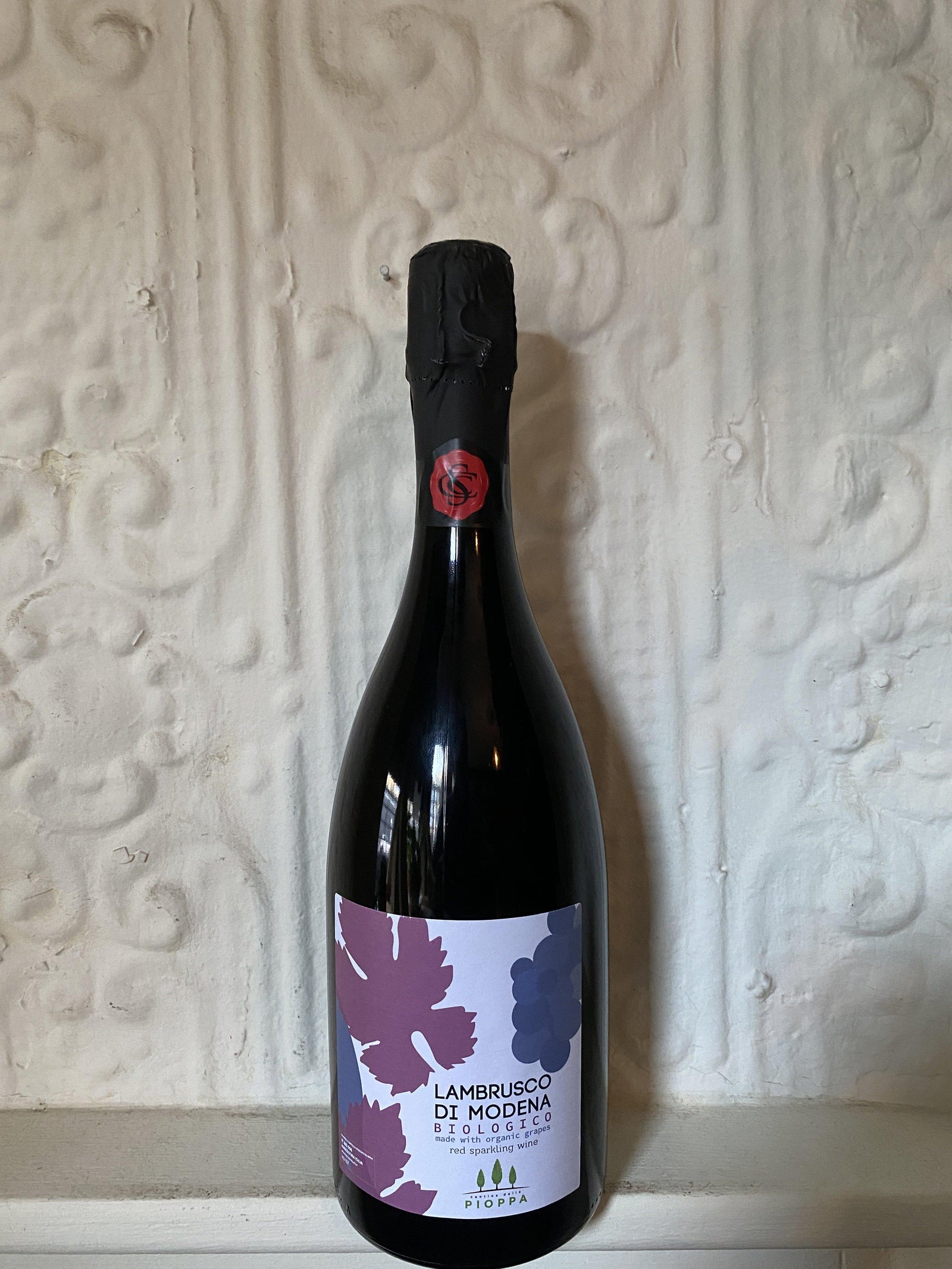 Lambrusco di Modena, Cantina della Pioppa NV (Emilia-Romagna, Italy)-Wine-Bibber & Bell