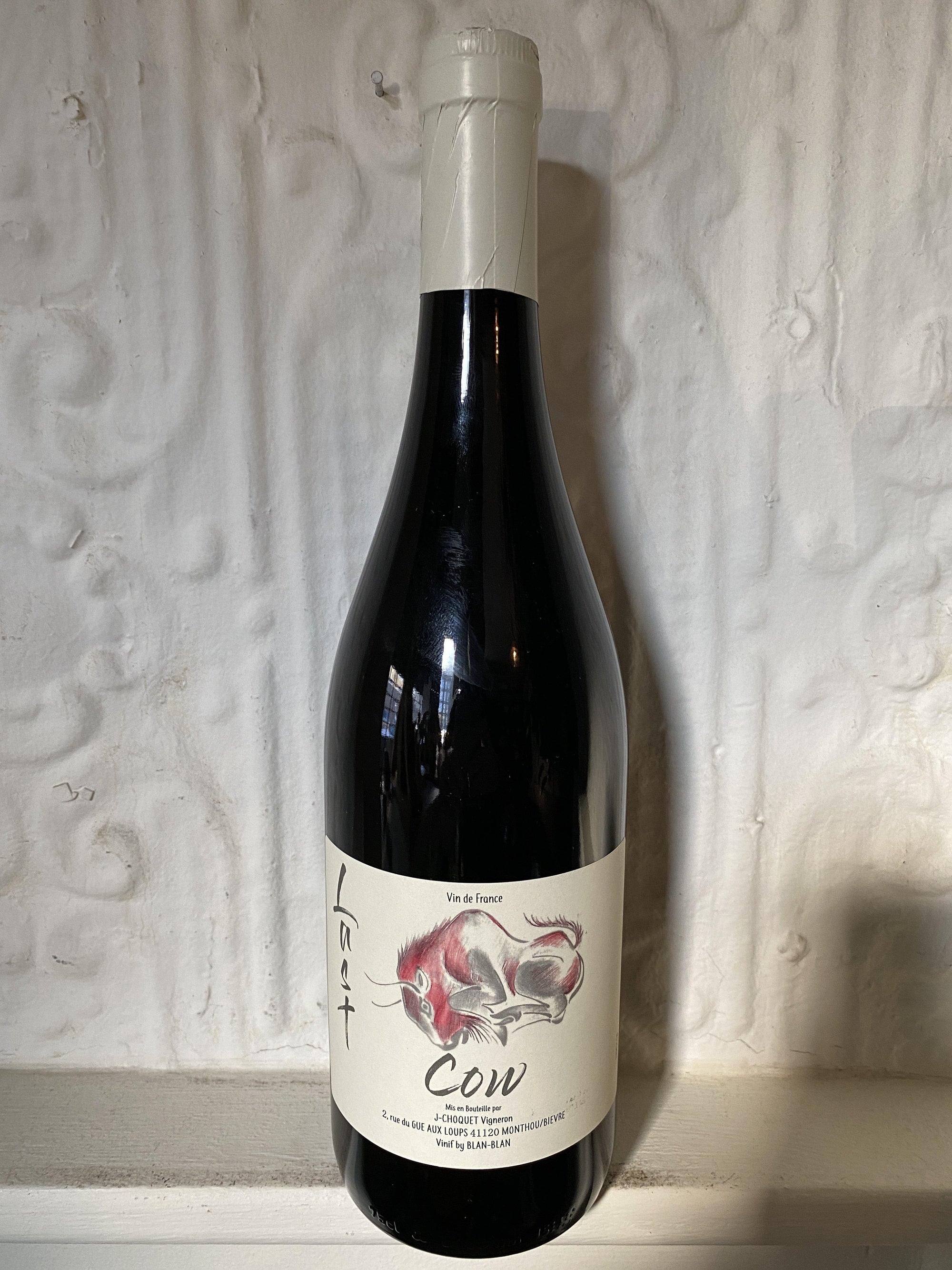Last Cow Malbec, Jeremie Choquet 2018 (VDF, France)-Wine-Bibber & Bell