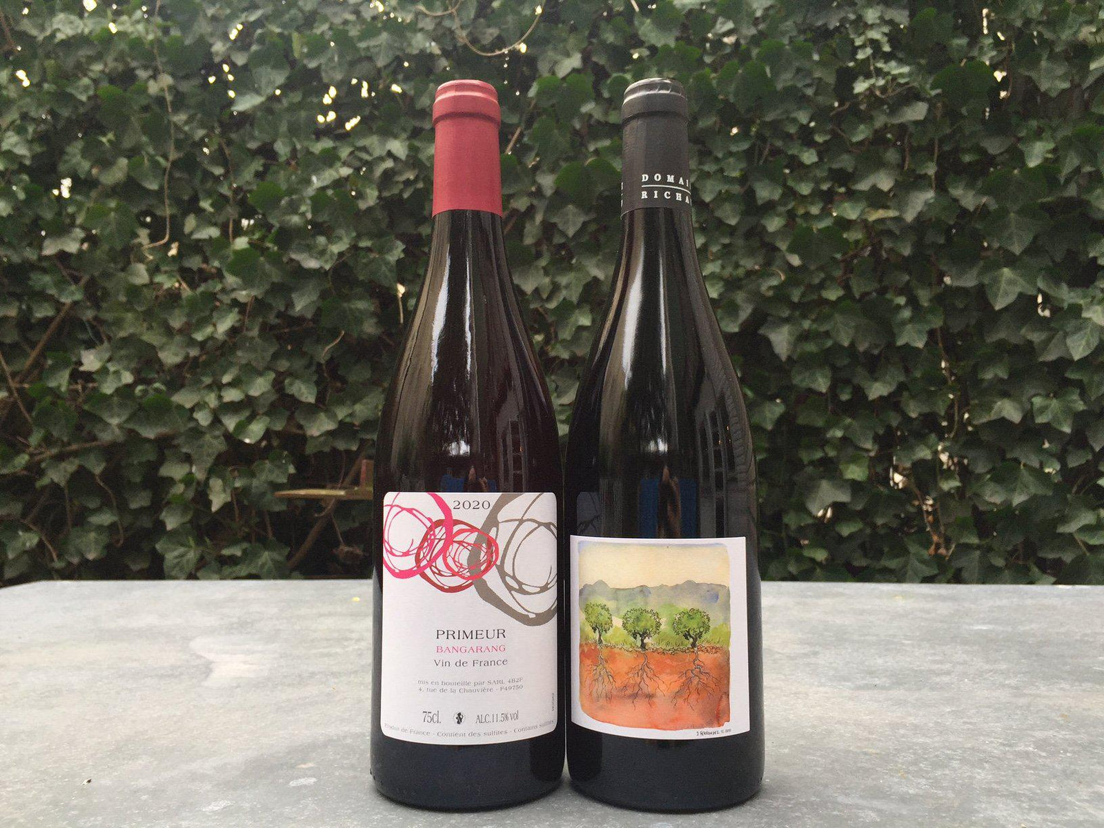 Nouveau 2 Pack-Wine-Bibber & Bell