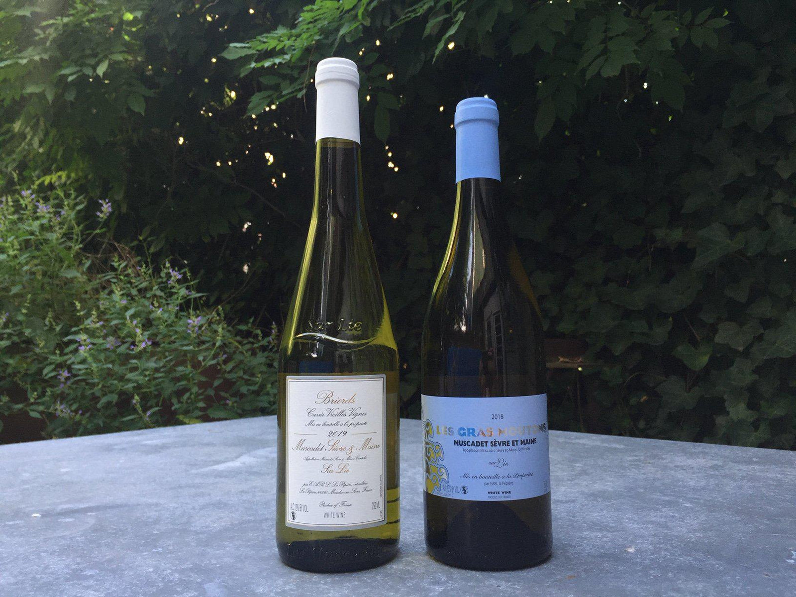 Pepiere 2 Pack-product type=master-Bibber & Bell