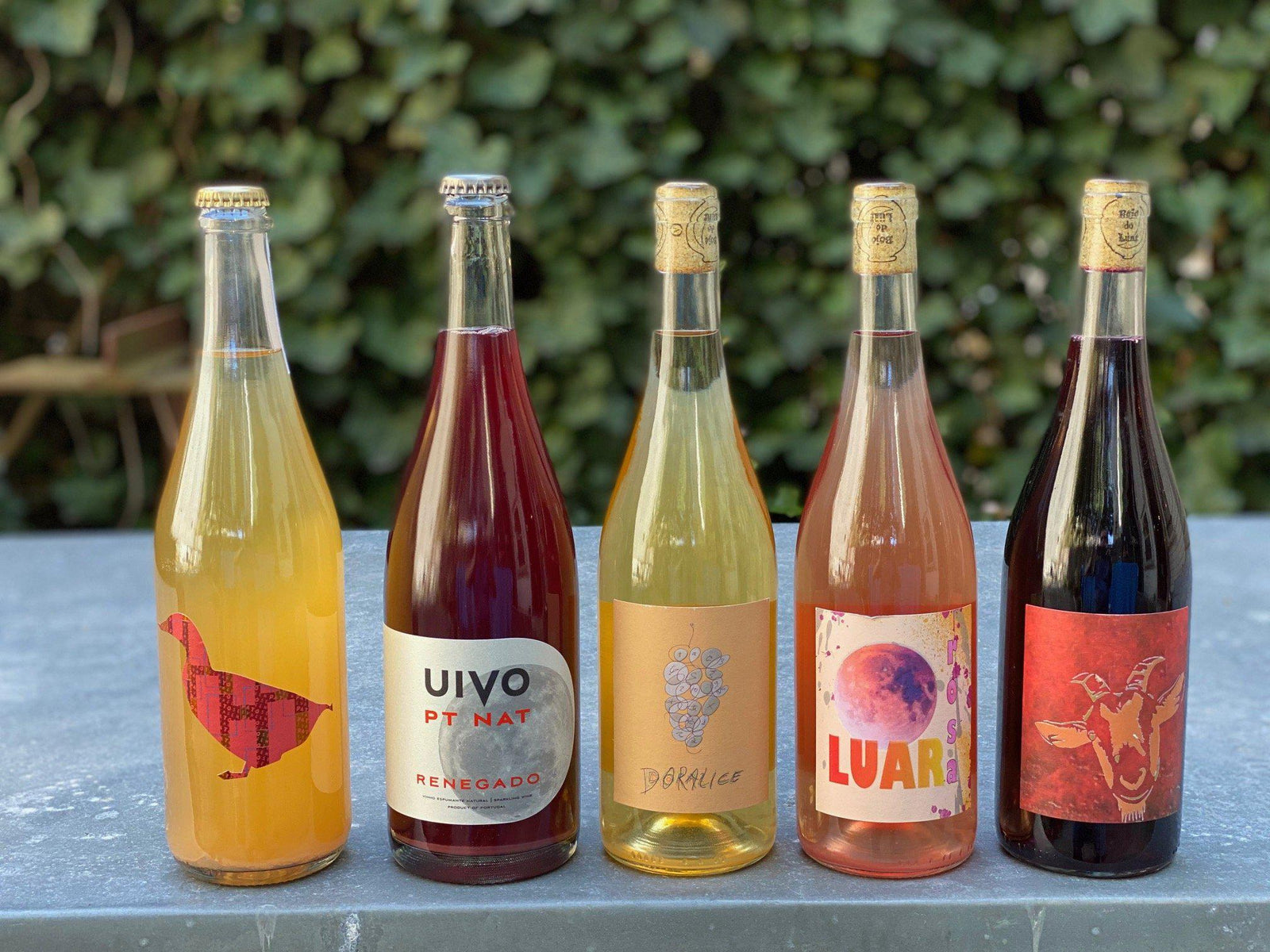 Portuguese 5 Pack-Wine-Bibber & Bell