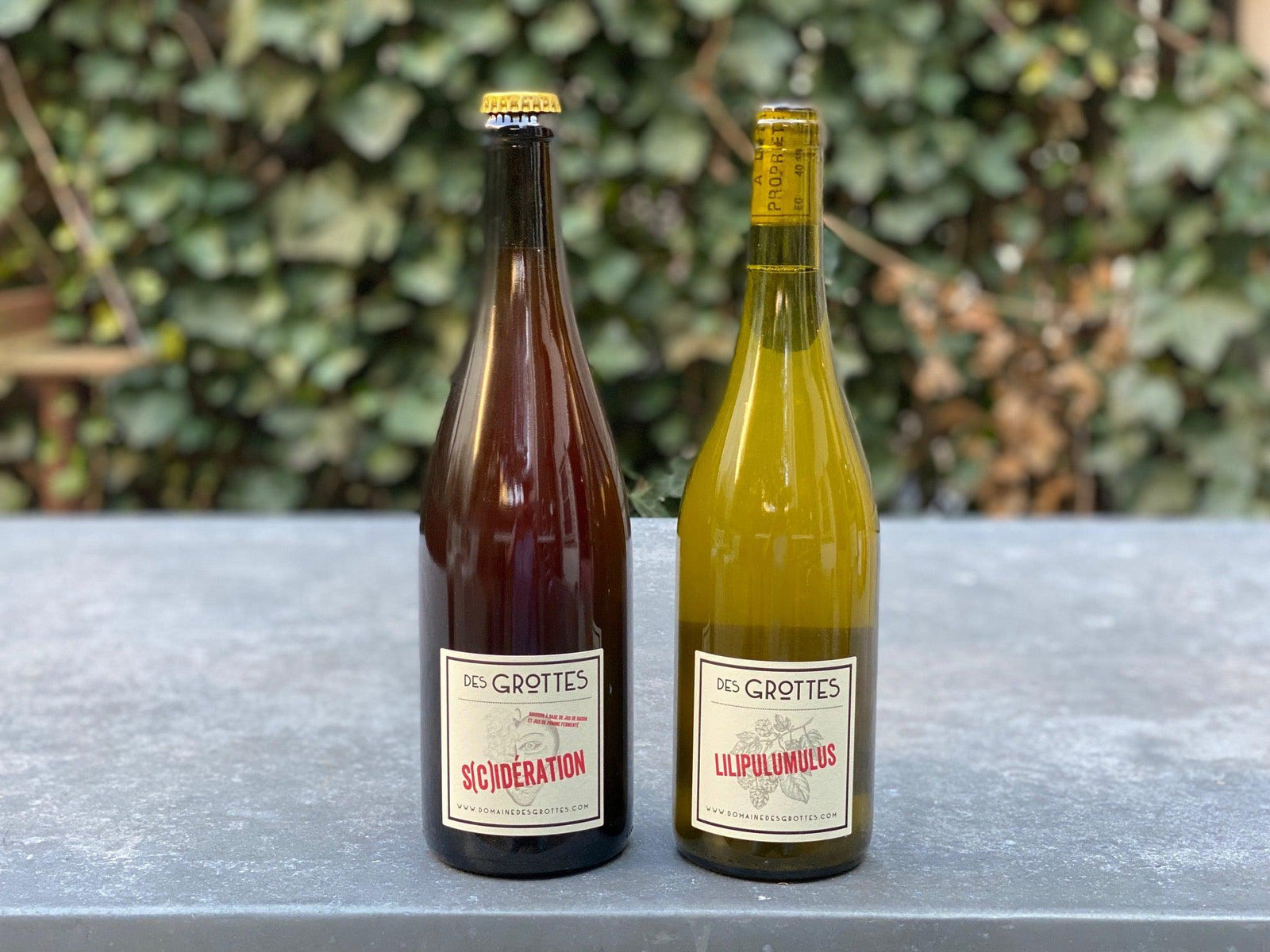 Romain des Grottes 2 Pack (Beaujolais, France)-Bibber & Bell