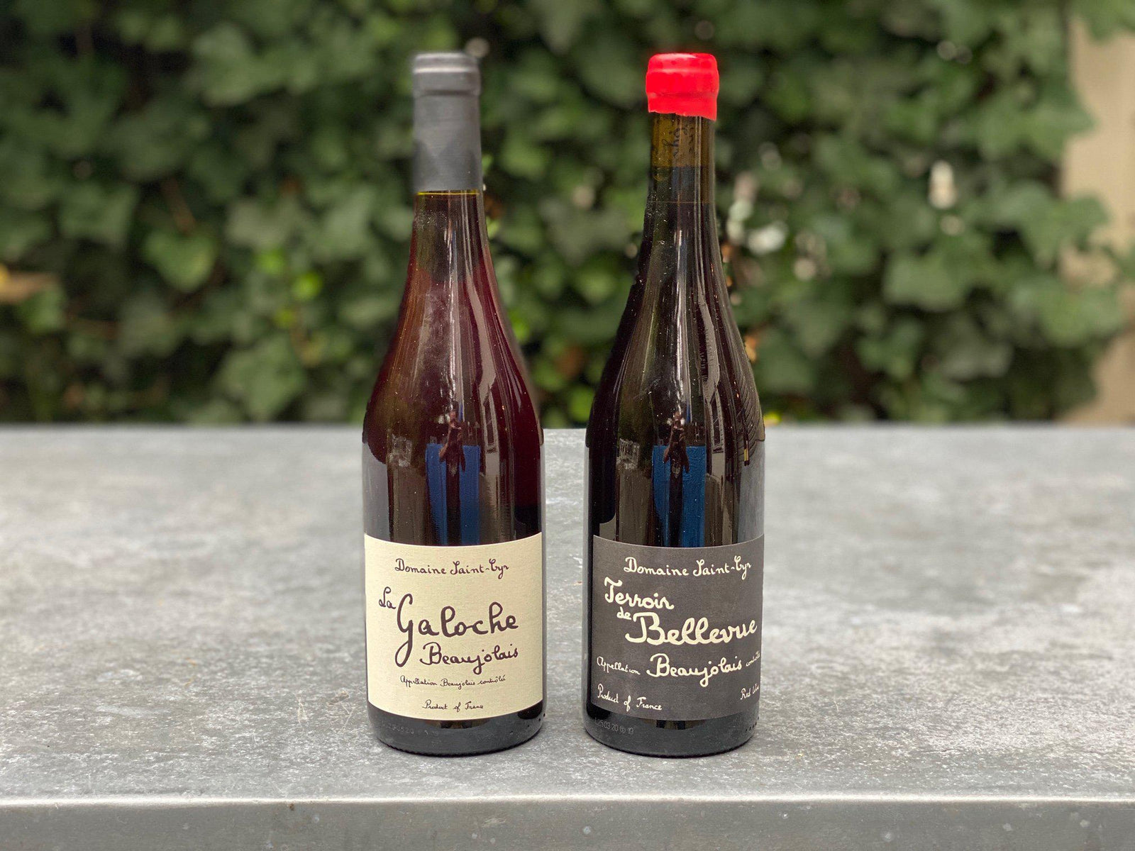 Saint Cyr 2 Pack-Wine-Bibber & Bell