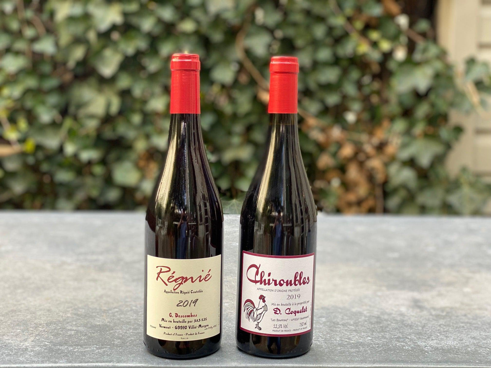 Valentine's Cru Beaujolais 2 Pack-Bibber & Bell